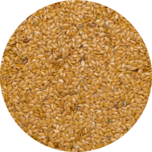 Leinsamen Blond / Golden